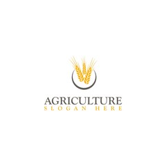 Poster - Agriculture icon logotype template. Wheat farm logo design isolated on white background