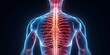 © CYBERUSS - Human body back pain, Augmented reality discomfort of spine trauma. Generative AI