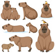 Cute Cartoon Capybara Collection