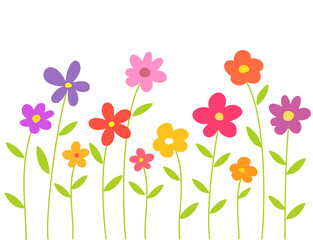 Wall Mural - colorful flowers isolated on transparent background