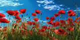 Fototapeta Panele - Amazing poppy field landscape against blue sky. Generative AI