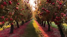 Apple Orchard, Generative AI Illustration