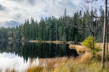 Canvas Print - Autumn view of a lake and forest in Ludvika, Dalarna, Sweden.