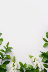 Natural green branches and white flowers on empty grey background with copy space. Trendy template with fresh leaves. Eco summer concept. Skin care product marketing. Minimal plant flat lay. Top view.