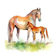 Brown horse and foal in a pasture, watercolor painting on textured paper. Digital watercolor painting