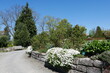 Blumen an Trockenmauer im Steingarten Botanischer Garten Theresienstein in Hof