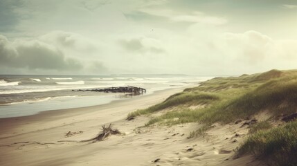 Wall Mural - Vintage background of seashore in the north sea