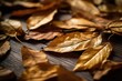 autumn leaves on a wood table Generative AI
