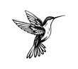 Hummingbird bird on white background.Elements for design.