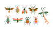 insects bugs butterfly and moths vector set
