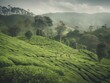 Tea Plantation Days in Sri Lanka, AI Generated