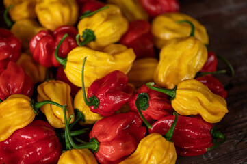 Poster - Mixed yellow and red habanero peppers. Harvest of peppers. Ripe hot Mexican pepper. Spicy food. Bright spices, vegetables. Wooden background. Close-up. Soft focus. Top view.