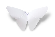 Paper Butterfly Origami Isolated On A White Background