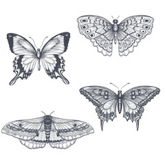 Wall Mural - Hand-draw butterfly sketch set on a white backround. Vector illustration.