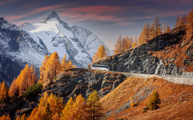 Fototapete - Incredible vivid landscape. Beautiful scenery with alpine highland valley full of golden trees in the foreground and white snowy mountains in the background. Grossglockner High Alpine Road