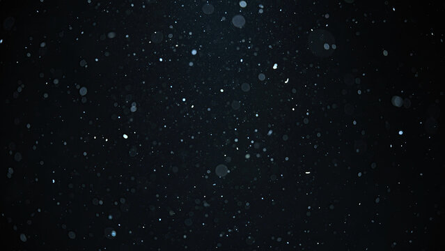White snow falling on an isolated black background, bokeh of flying snowflakes, dust particles or powder in the air. 