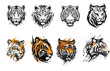 set of tiger heads
