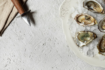 Wall Mural - Plate with fresh opened oysters and oyster opener on light table, top view with copy space