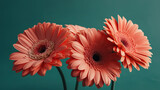 Daisy flower against mirror and orange background. Generative ai