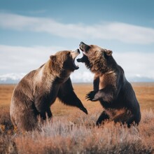 Two brown bears fighting each other in a field. Generative AI image.