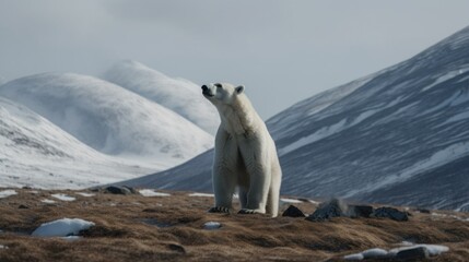 Wall Mural - A polar bear standing on top of a snow covered mountain. Generative AI image.