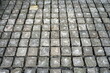 Straßenbau und Baustelle mit Verlegung von Pflasterstein als traditionelles Kopfsteinpflaster auf losem Sand in der Altstadt von Brügge in Westflandern in Belgien