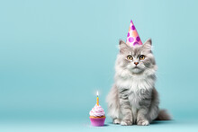 Cat Celebrating With Party Hat And Birthday Cupcake