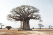 Leinwandbild Motiv African baobab tree growing in dusty savanna - Generative AI