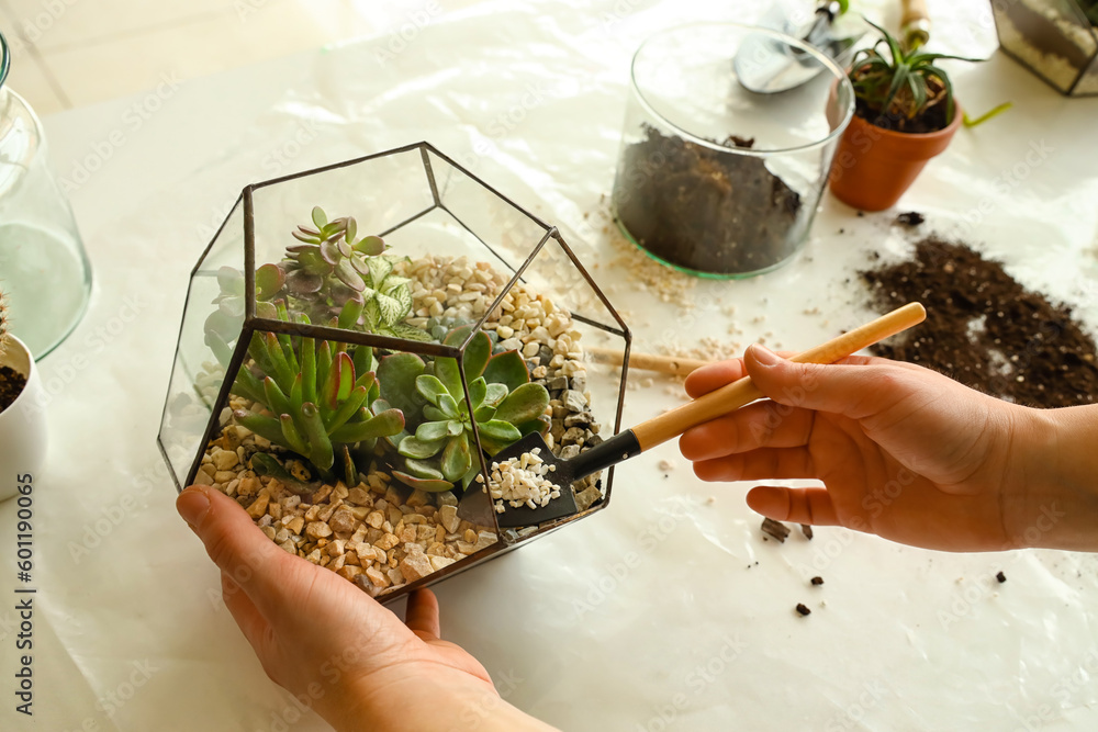 Woman making florarium on table at home, closeup