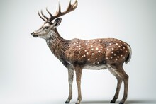 White Background Deer Figurine 3d Render. Generative AI