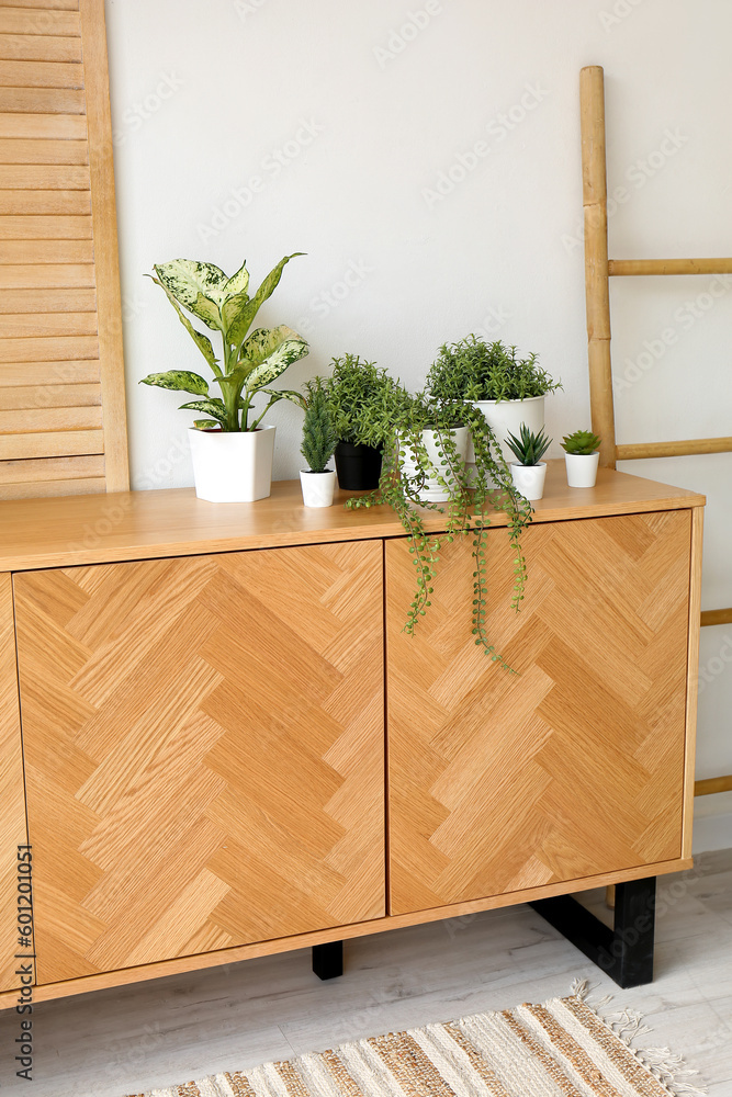 Stylish wooden cabinet with houseplants in interior of room