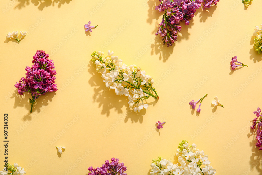 Blooming lilac flowers on beige background