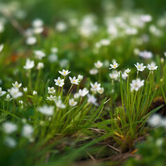 Wall Mural - green grass and white flowers meadow close up. Summer sunny nature. Colorful natural background. Fresh lawn in a public park. AI generated content