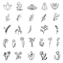 Set Sketch Style Leaves And Flowers. Separate Drawings. Нand Draw Doodle Sketch Of Flowers And Branches.