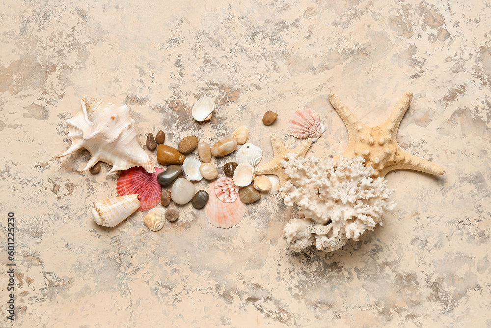 Seashells with coral and starfishes on grunge background