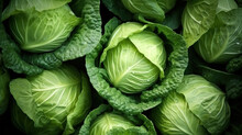 Wet Cabbage With Drops Of Water Generative AI