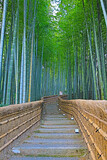 Fototapeta Dziecięca - Bamboo Grove in adashino nenbutsu-ji  Arashiyama, Kyoto