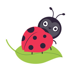 Canvas Print - Cute little ladybug insect sitting on leaf cartoon vector illustration