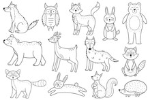 Cute Forest Animals Set In Black And White. Woodland Characters Outline Collection With Fox, Bear, Wolf, Rabbit And Others For Coloring Book. Vector Illustration