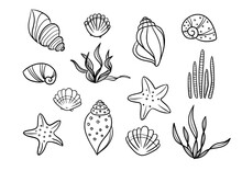 Sea Shell Starfish And Seaweed Silhouette Vector Icon Set. Line Pattern Sea Hand Drawn Contour Isolated On White Background. Black Marine Beach Graphic Elements.