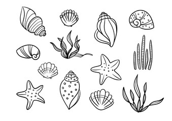 sea shell starfish and seaweed silhouette vector icon set. line pattern sea hand drawn contour isola