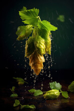 A Selection Of Different Hop Varieties. Generative AI Illustration.