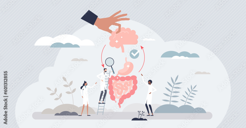 Gut brain axis as emotional feeling and bowel connection tiny person ...