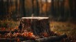 Scenic autumn forest background with stump like a minimal product podium display with copy space. Beautiful outdoor backdrop. AI generative image.