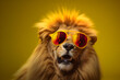 Funny lion wearing sunglasses in studio with a colorful and bright background. Generative AI