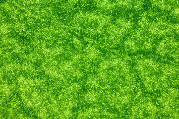 Nano structures on surface of leaf. Close up view of green leaf. Microscopic world. Macro focus stacking