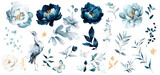 Fototapeta  - blue watercolor arrangements with flowers, set, bundle, bouquets with wildflowers, leaves, branches. Botanical illustration