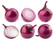 red onion isolated on white background, full depth of field