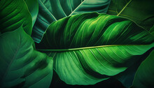 Close-up Of A Large Green Tree Leafs, Generative By AI