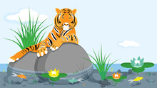 The Tiger Lies On A Large Stone And Basks In The Sun In The Middle Of A Pond With Colorful Fish.